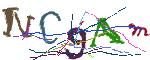 Graficzne pułapki CAPTCHA