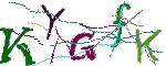 Graficzne pułapki CAPTCHA