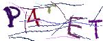 Graficzne pułapki CAPTCHA
