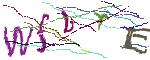Graficzne pułapki CAPTCHA