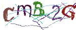 Graficzne pułapki CAPTCHA